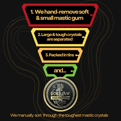 MAX Edition | Premium Hand-Picked Ultra-Tough Mastic Gum